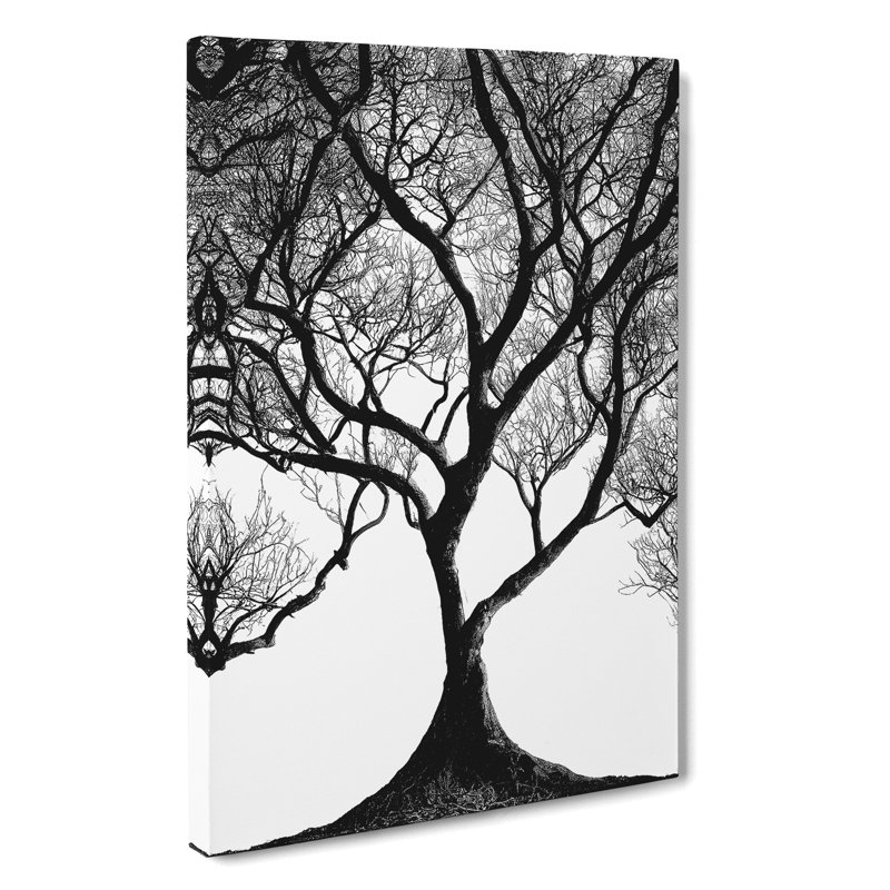 Shadow Of A Tree No.1 - Wrapped Canvas, 50cm H x 35cm W x 3cm D