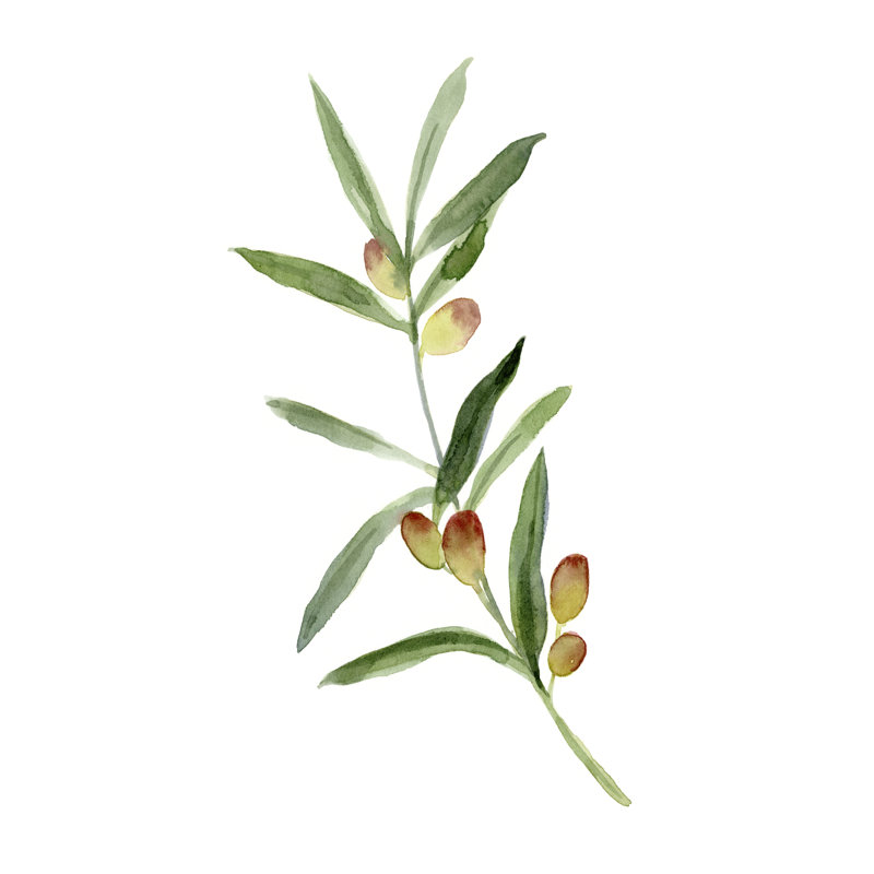 Sweet Olive Branch I - Painting, 76cm H x 51cm W, Black Floater Framed