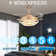 Dontavius 42'' Ceiling Fan with LED Lights