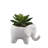 5.5 " H Faux Succulent Plant