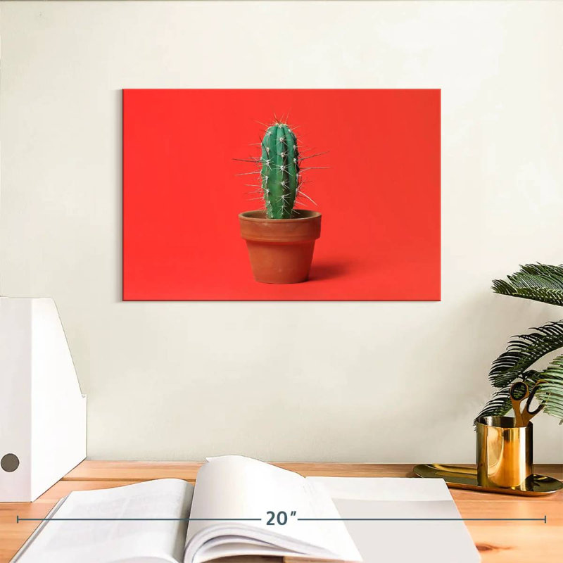 Cactus en pot Harnek, H 8 po x l 12 po