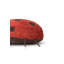 Floor Cushion Ladybug Maria