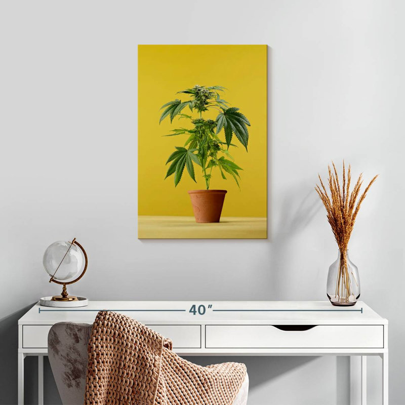 Marijuana en pot, H 24 po x l 16 po