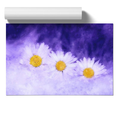Three White Daisies - No Frame Print