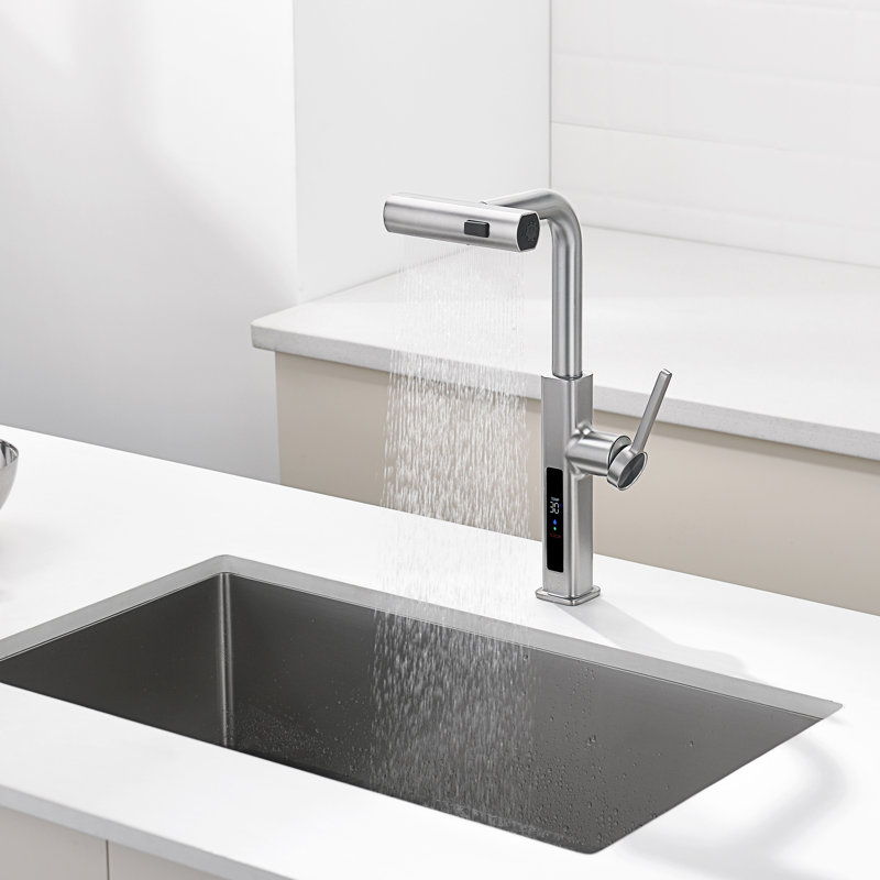 Single Handle Kitchen Faucet with Accessories, Brushed Nickel