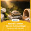 Tortoise House