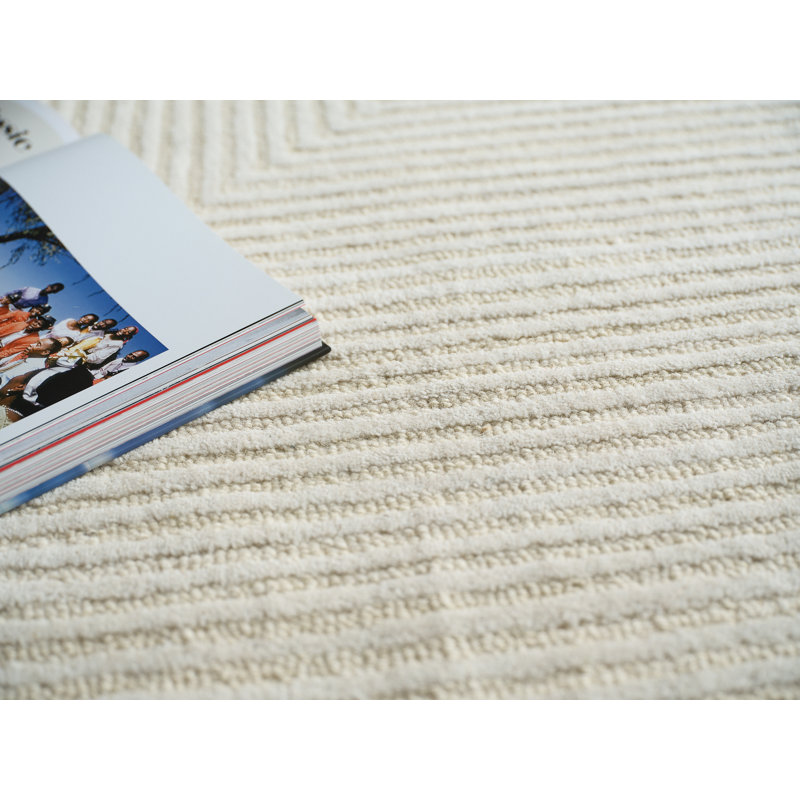 Serenity handloomed PET Beige/Brown Area Rug, Ivory, Rectangle 8' x 10'