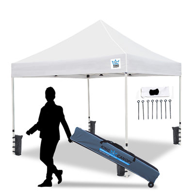 Ares 10Ft by 10Ft Commercial Instant Pop up Canopy with Weight Bags