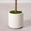 5 pi / 6 pi olivier artificiel en pot blanc moderne-129915397