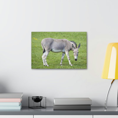 No Frame Print on Canvas