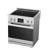 Professional 30 Inch Induction Range with Convection Oven & Air Fry, 4 Burner Electric Stove, Pizza Stone, Luxury 304 Stainless Steel by Induction Hardware-119946286