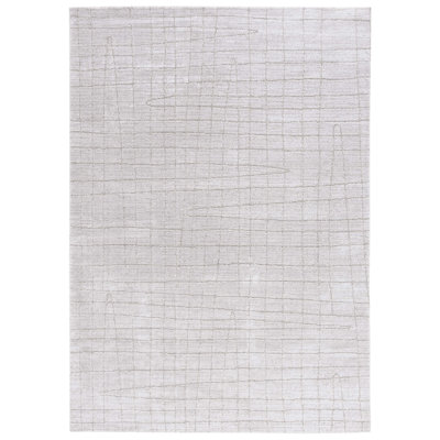 Machine Woven Light Grey / Grey Indoor Rug