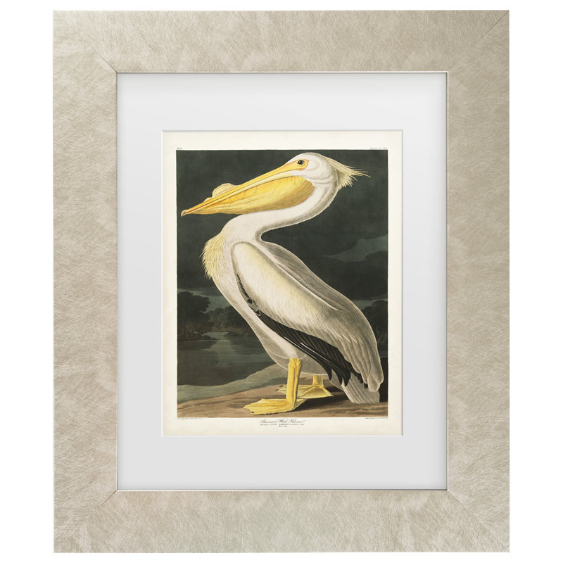 Art sur toile, "American White Pelican" par John James Audubon, Champagne, H 17,5 po x l 14,5 po x P 0,625 po