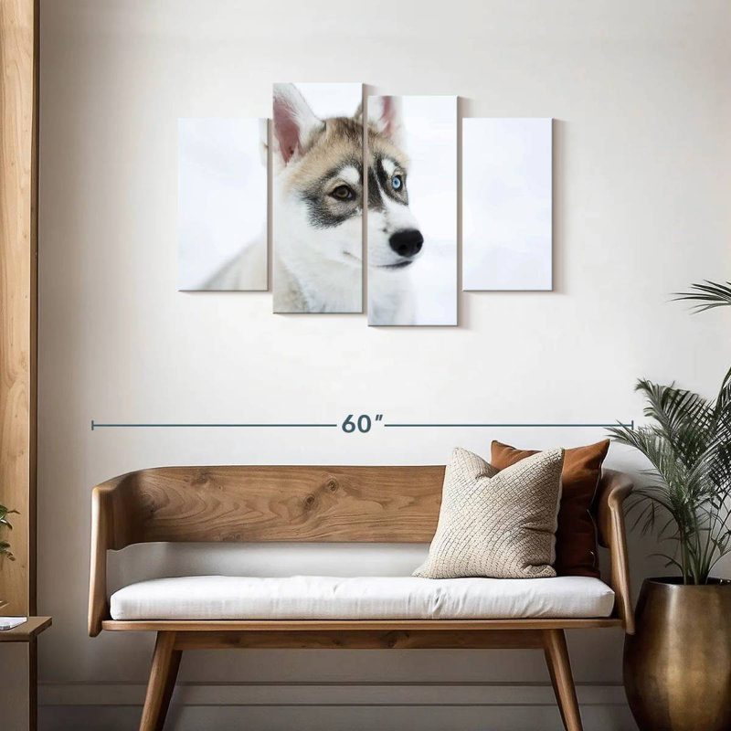 Glaring Husky, H 27 po x l 43 po