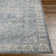 Bejou Oriental Indoor Rug