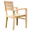 Venice Stacking Dining Arm Chair