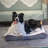 Orthopedic Suede Pet Bed-59398874