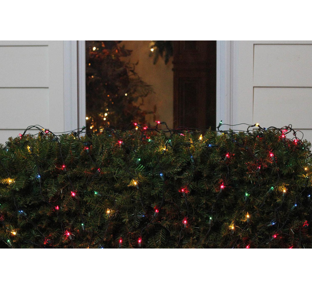 4' x 6' Mini Incandescent Net Style Christmas Lights Northlight Seasonal 