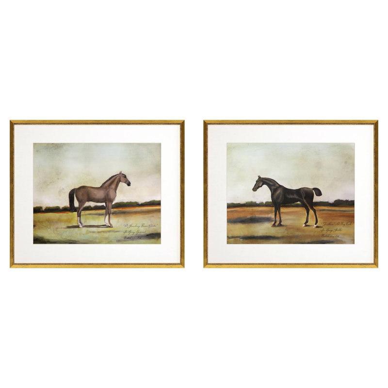 Equestrian III Framed Print