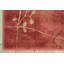 Tapis à motif floral rouge flamme / brun Arnim-369497040