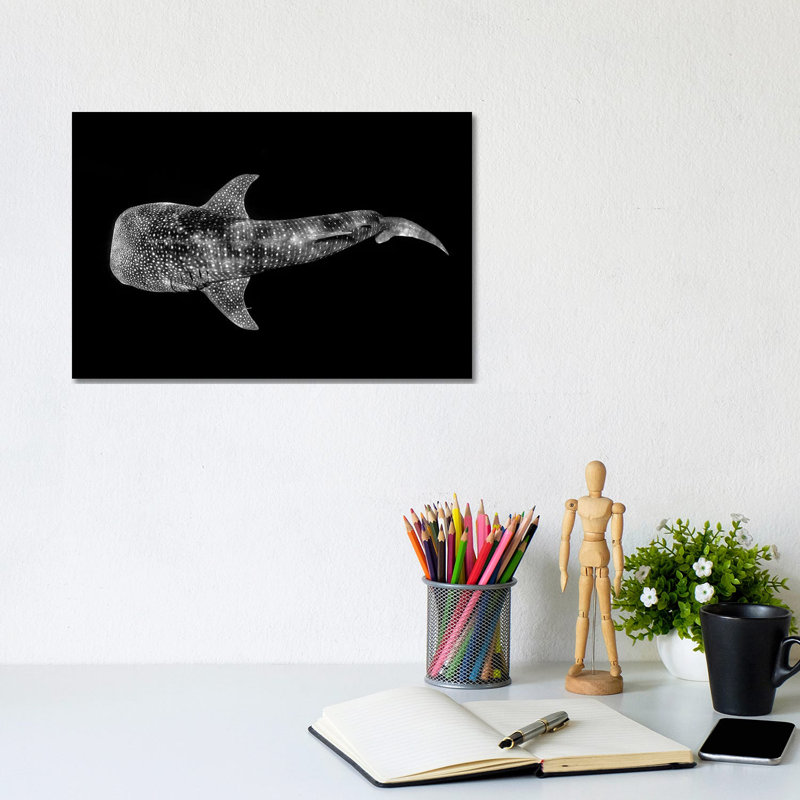 Whale Shark Ningaloo Reef 1 Piece Wrapped Canvas Wall Art, 20.32 cm H x 30.48 cm W