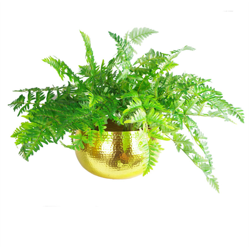 Sevyn Handmade Metal Cachepot, Gold, 20cm H x 30cm W x 30cm D