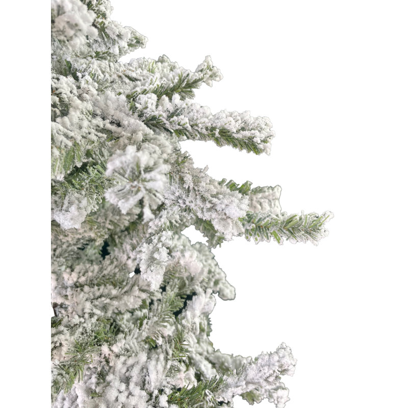 Arbre de Noël, H 6 pi