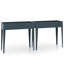 Ayjai Metal Raised Garden Bed