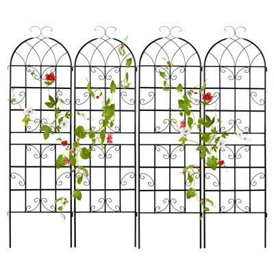 180cm H x 50cm W Metal Arched
