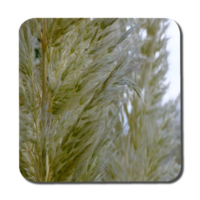 Square 6 Piece Coaster Set