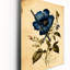 Horloge murale Jela-1858724427