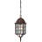 Gillian Outdoor Hanging Lantern-1595848303