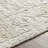 Oriental Indoor Rug-792121661