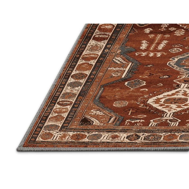 Machine Washable Turkish Brown Area Rug, Rectangulaire 2 pi x 3 pi