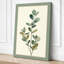 Study in Sage Botanical - Wrapped Canvas-1402841-1402845