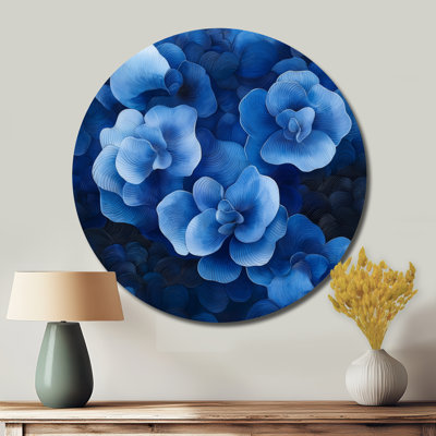 Bleu et blanc, hortensia