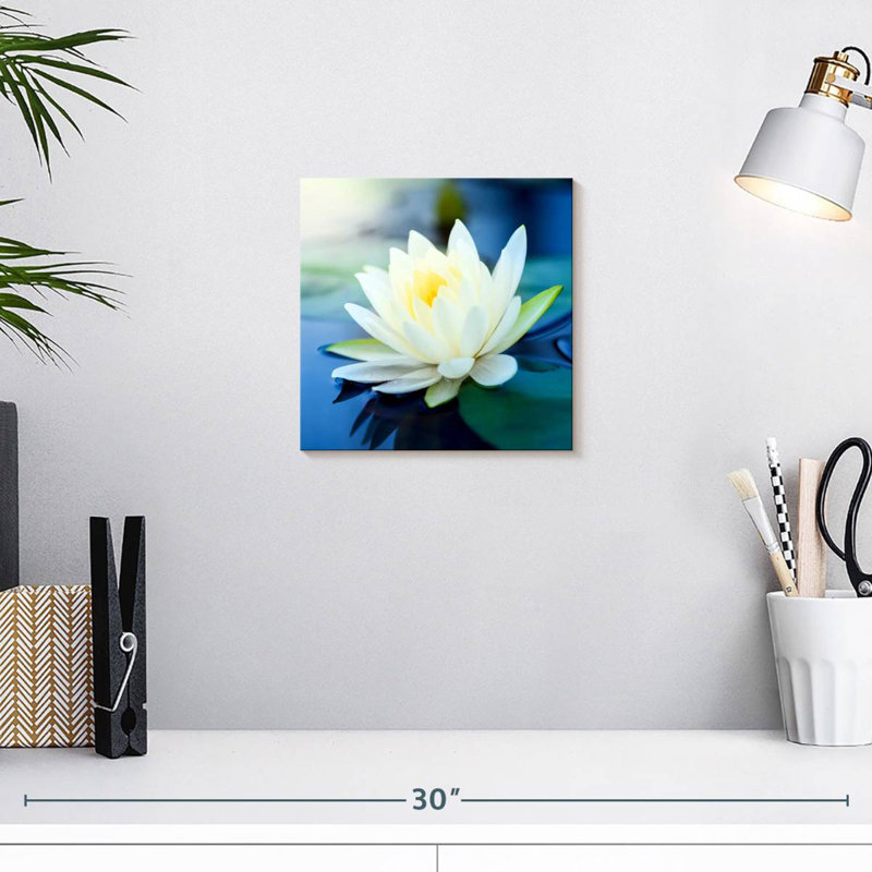 Lotus Splendor, H 10 po x l 10 po