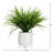 11'' Faux Foliage Grass in Ceramic Pot