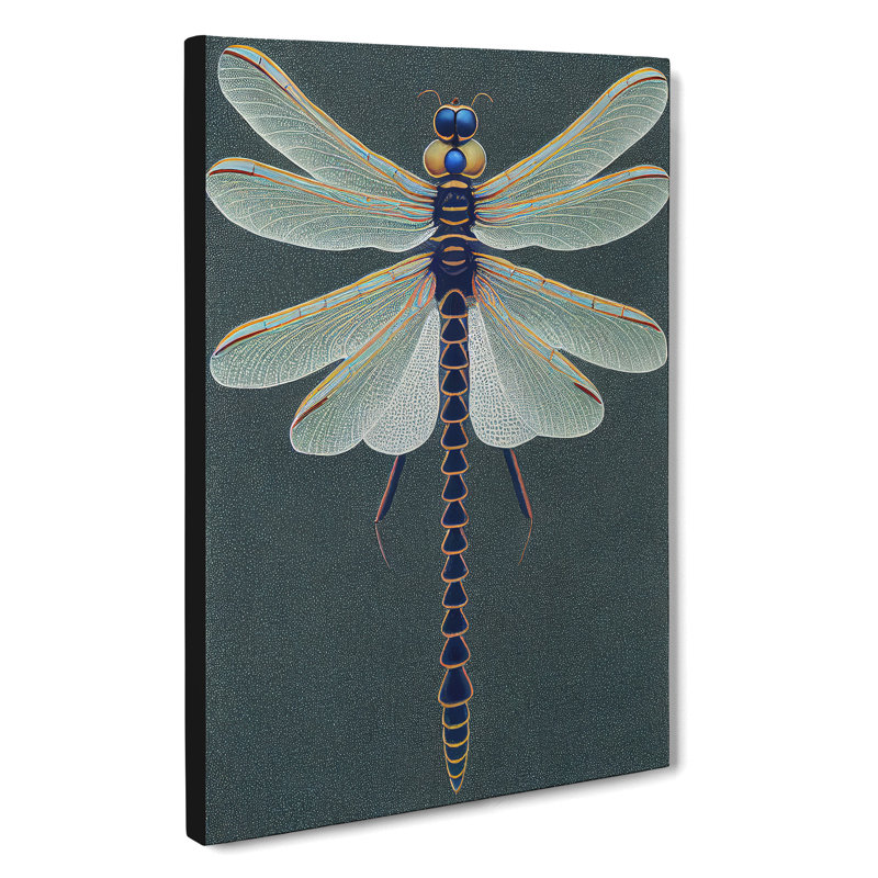 Legendary Dragonfly - Wrapped Canvas, 50cm H x 35cm W x 3cm D