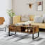 Sled Coffee Table with Storage