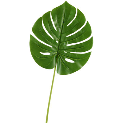 Medium Split Leaf Philo Stem
