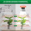 Maker Network Grow Light