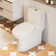 DeerValley Symmetry Dual Flush Elongated One-Piece Toilet Standard Toilet with Comfort Seat Height