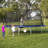 Skywalker Trampolines Lower Kickback Trampoline Game