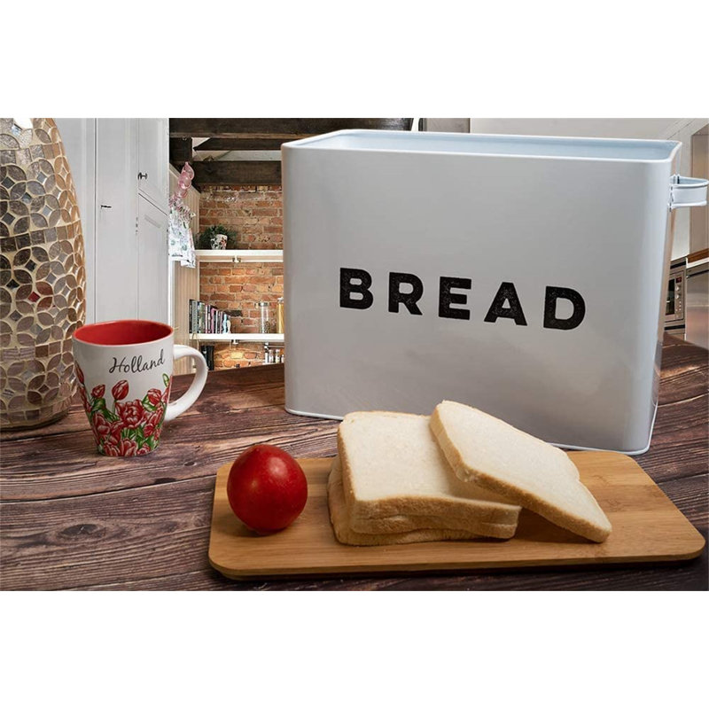 Parkinson 482ml Food Storage Container