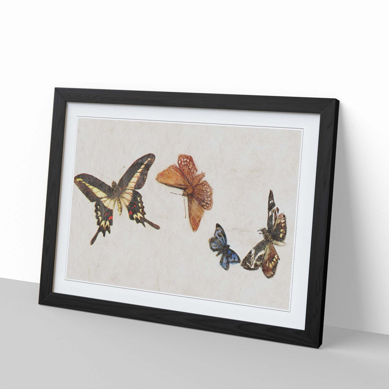 Four Butterflies by Fujishima Takeji - Framed Print, 36cm H x 48cm W x 2cm D, Black Framed