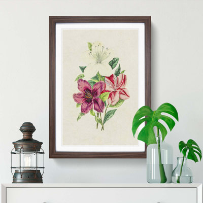 Illustration of Beautiful Flowers - Framed Print