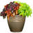 Milahn Resin Round Pot Planter-742003951-742003963