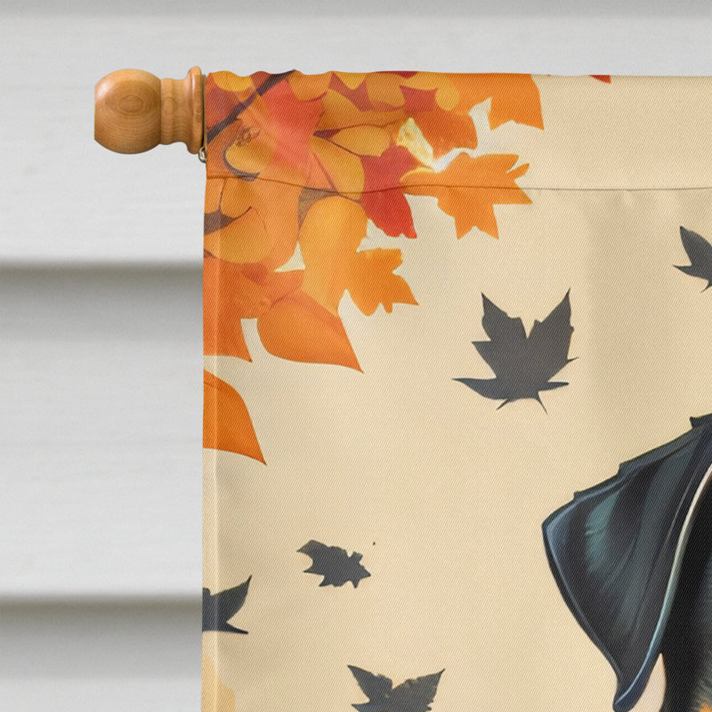 Drapeau de maison en polyester à double face H 40 po x l 28 po