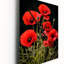 Horloge murale Saura - Coquelicots surdimensionnée-1004203766